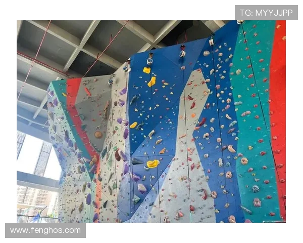 上海攀岩队包夹战术解析与攀岩热点发展趋势探讨