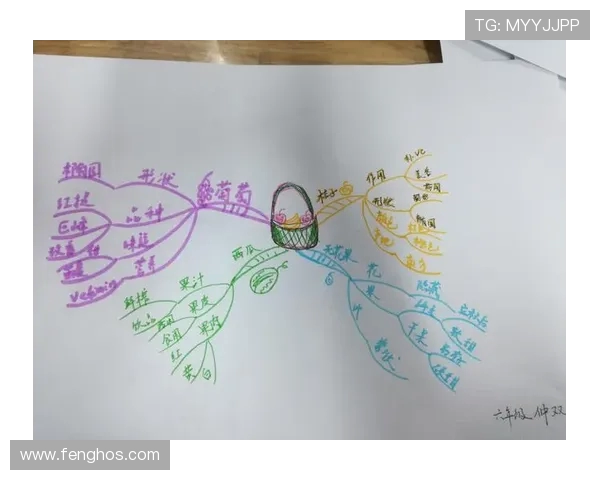 南京排球队灵活性分析与发展策略探讨 南京排球队灵活性分析与发展策略探讨